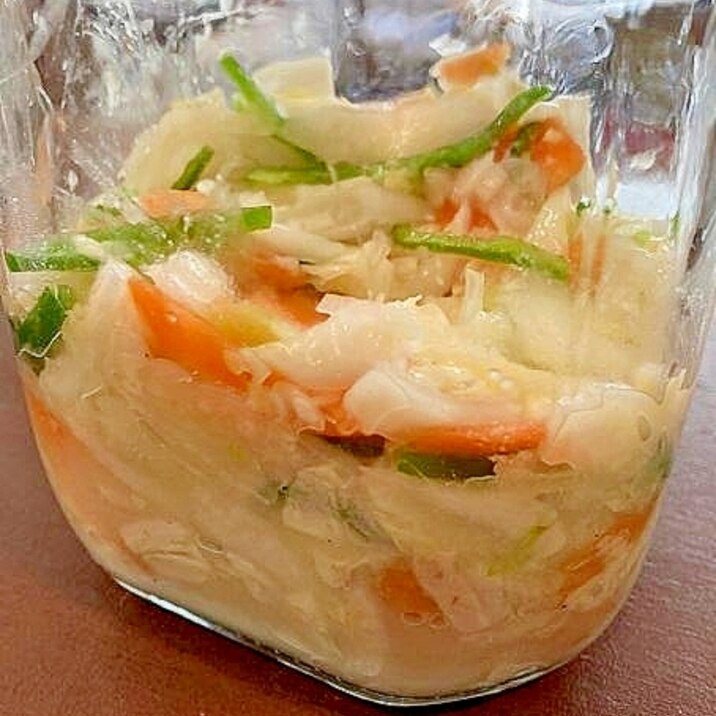 白菜と野菜の塩こうじ漬け　プラントベース　仕込み